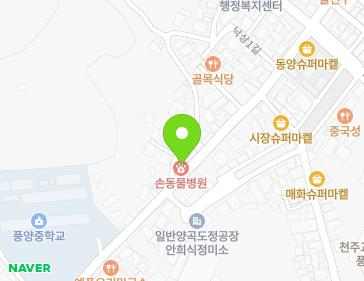 경상북도 예천군 풍양면 낙상1길 82 (손동물병원) 지도
