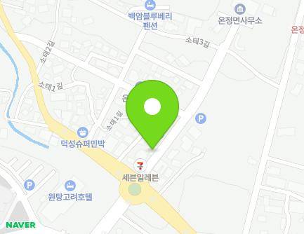 경상북도 울진군 온정면 소태로 3 (힐튼모텔) 지도