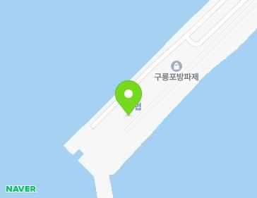 경상북도 포항시 남구 구룡포읍 호미로 290-6 지도