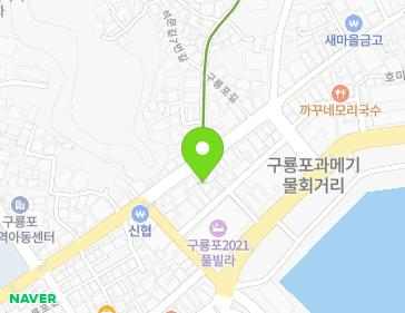 경상북도 포항시 남구 구룡포읍 구룡포길 82 지도