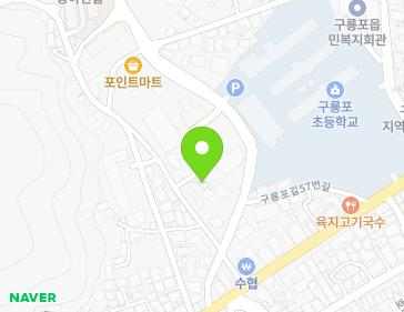 경상북도 포항시 남구 구룡포읍 구룡포길45번길 12 지도