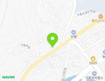 경상북도 포항시 남구 구룡포읍 구룡포길 37-2 지도