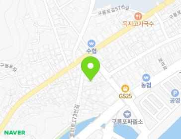 경상북도 포항시 남구 구룡포읍 호미로173번길 12-3 지도