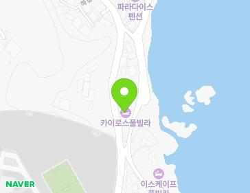 경상북도 포항시 남구 구룡포읍 하정로 176 지도
