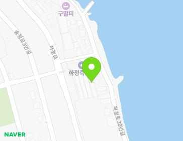 경상북도 포항시 남구 구룡포읍 하정로 100 지도