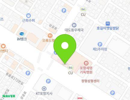 경상북도 포항시 남구 포스코대로 345 (대도동) 지도