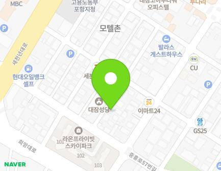 경상북도 포항시 남구 새천년대로410번길 17-10 (대잠동, 오페라하우스) 지도