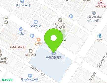 경상북도 포항시 북구 중흥로 195 (죽도동, 죽도초등학교) 지도