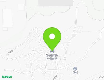 경상북도 김천시 대보1길 16 (대광동, 대응동대보마을회관) 지도