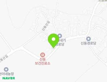 광주광역시 광산구 신동산길 121 (신동) 광주광역시 광산구 신동산길 121 (신동) 지도