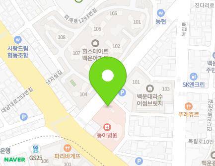 광주광역시 남구 회재로 1274 (백운동, 한마음약국) 지도