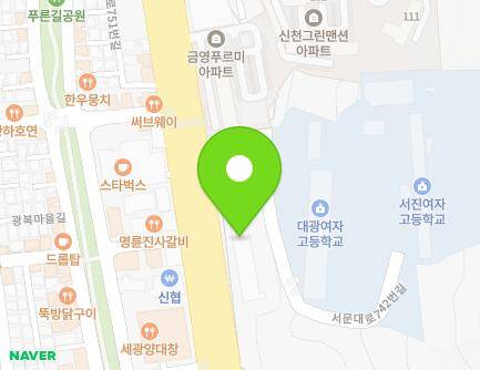광주광역시 남구 서문대로 738 (주월동, 서진병원) 지도