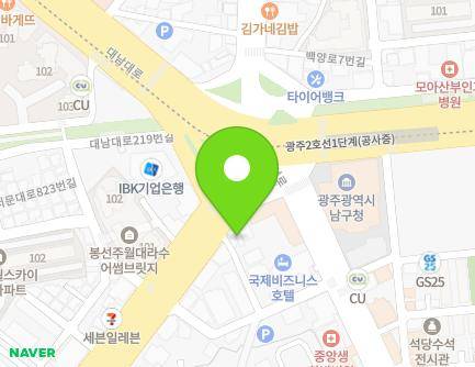 광주광역시 남구 서문대로 834 (주월동, 인애약국) 지도