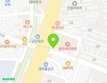광주광역시 남구 서문대로 654 (진월동) 지도