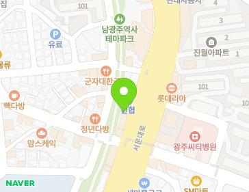 광주광역시 남구 서문대로 655 (진월동) 지도