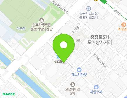광주광역시 동구 독립로226번길 10 (수기동, 엘리체) 지도