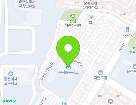 광주광역시 북구 대천로169번길 7 (문흥동, 문정초등학교) 지도