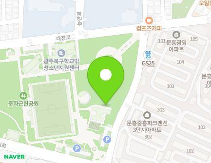 광주광역시 북구 천지인로173번길 9 (문흥동, 노인복지센터) 지도