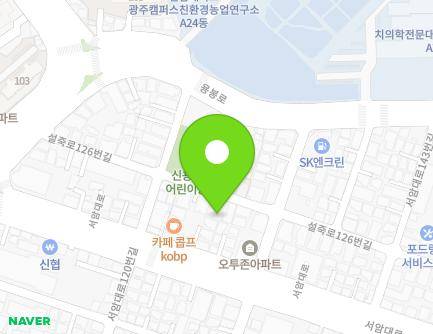 광주광역시 북구 설죽로126번길 36-1 (신안동, 현진시티빌) 지도