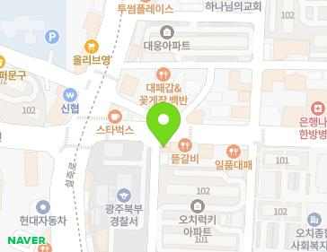 광주광역시 북구 서하로 174 (오치동) 지도
