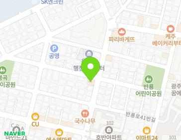 광주광역시 북구 용주로8번길 46 (용봉동) 지도
