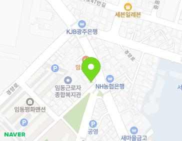 광주광역시 북구 서림로 100 (임동) 지도