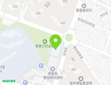 광주광역시 북구 당뫼로 39 (중흥동, 중흥도서관) 지도