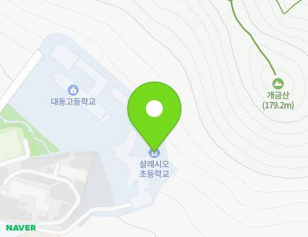 광주광역시 서구 전평길 40-1 (매월동, 살레시오초등학교) 지도