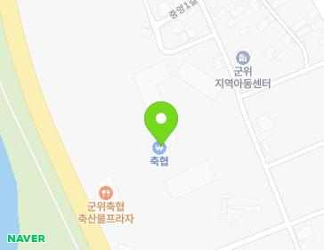 대구광역시 군위군 군위읍 군청로 49-33 지도