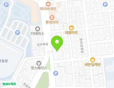 대구광역시 남구 현충로 236 (대명동) 지도