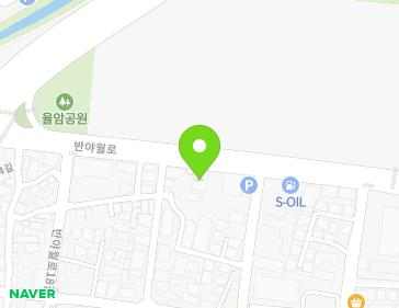 대구광역시 동구 반야월로 96 (율하동) 대구광역시 동구 반야월로 96 (율하동) 지도