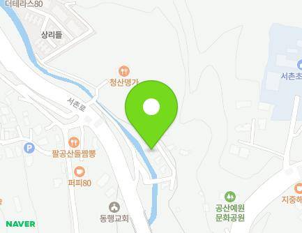 대구광역시 동구 서촌로 26-5 (중대동, 타운팰리스) 지도
