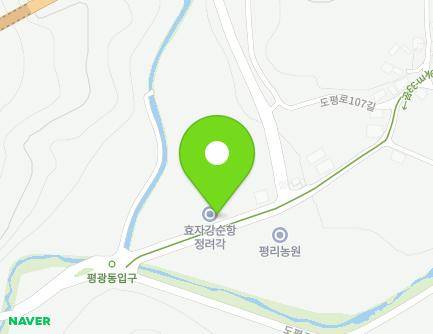 대구광역시 동구 도평로107길 9 (평광동, 효자 강순항 정려각) 지도