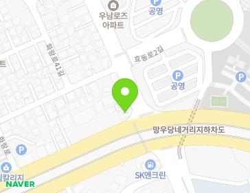 대구광역시 동구 효동로 1 (효목동) 지도