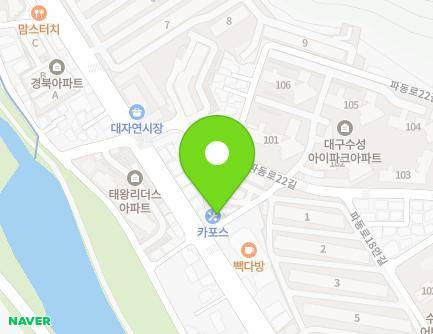 대구광역시 수성구 파동로 98-1 (파동) 지도