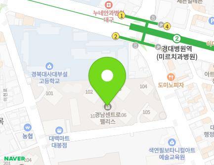 대구광역시 중구 대봉로 260 (대봉동, 센트로팰리스아파트) 지도