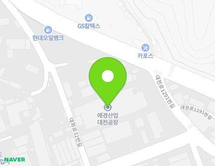 대전광역시 대덕구 대화로32번길 174 (대화동, 애경산업) 지도