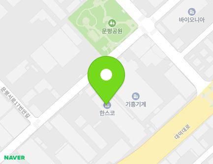 대전광역시 대덕구 문평서로17번길 35 (문평동, (주)한스코) 지도