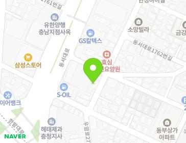 대전광역시 대덕구 비래서로10번길 86 (비래동, 드림팰리스아파트) 지도