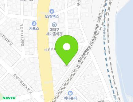 대전광역시 대덕구 대전로1118번길 19 (오정동, 성진주택) 지도