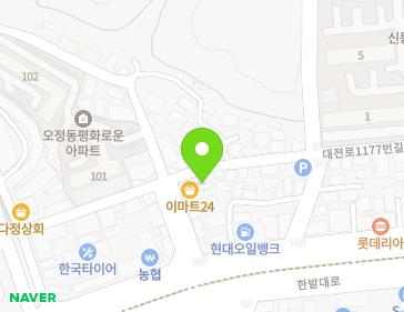 대전광역시 대덕구 대전로1177번길 101 (오정동) 지도