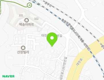 대전광역시 대덕구 대전로1397번안길 13-11 (읍내동) 지도