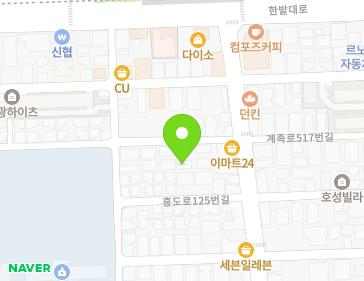 대전광역시 대덕구 홍도로129번길 9 (중리동, 신진빌라) 지도