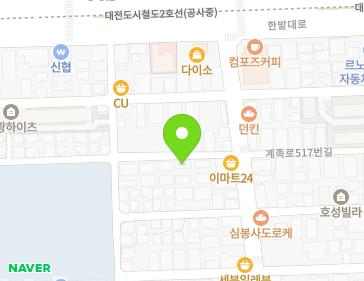 대전광역시 대덕구 홍도로129번길 11 (중리동, 신진빌라) 지도