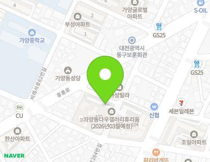 대전광역시 동구 동대전로284번길 117 (가양동, 동신아파트) 지도