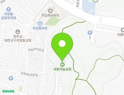 대전광역시 동구 동대전로110번길 184 (대동, 행복드림하우스) 지도