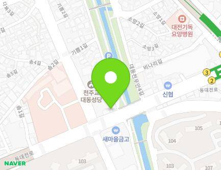 대전광역시 동구 동대전로 49-3 (대동, 대성전단) 지도