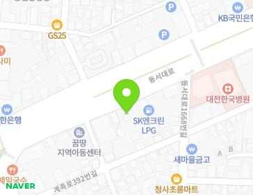 대전광역시 동구 동서대로 1658 (성남동) 대전광역시 동구 동서대로 1658 (성남동) 지도