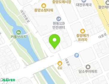 대전광역시 동구 대전천동로 502 (원동) 지도
