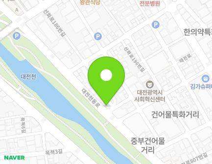 대전광역시 동구 대전천동로 576 (중동) 지도